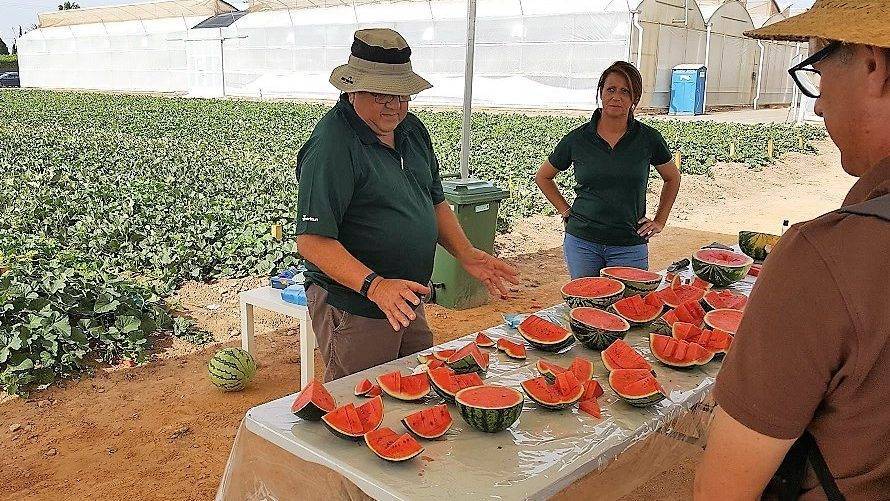 20180703_101055 (1)|20180703_115228|Nunhems 2018|Nunhems melón Coliseo